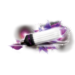 Ampoule CFL 300W 6400K et 2100K Florastar