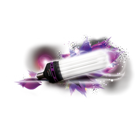 Ampoule CFL 300W 6400K et 2100K Florastar