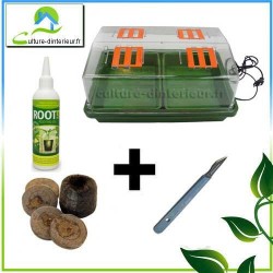 PROPAGATION DES BOUTURES AVEC LES TAPIS CHAUFFANTS EH-POWERGROUND - Cofilea  %