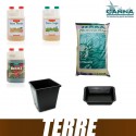 Pack Terre Canna PRO Terra Vega Terra Flores CannaBoost