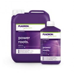 Plagron Power Roots 100ml