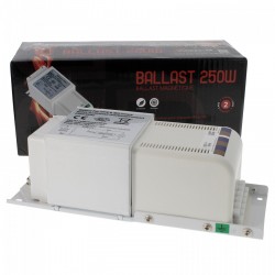 Ballast 250W FLORASTAR magnétique Class 1