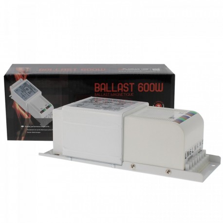 Ballast 600W FLORASTAR magnétique Class 1