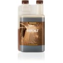 Biocanna Bio Boost 250ml