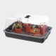 Serre de bouturage chauffante 22W