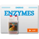 Enzymes