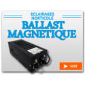 Ballast Magnétique