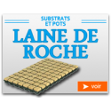 Laine de Roche